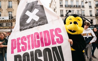 Navette parlementaire sur la loi d’urgence agricole : Le gigantesque renoncement écologique et sanitaire du sénat
